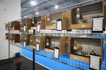 Virovitica domaćin jedne od najvećih izložbi malih životinja u Hrvatskoj: Razgledati se može više od 1400 eksponata 26 602987951 1308159668007151 5716504343224766433 n