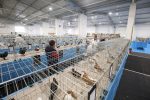 Virovitica domaćin jedne od najvećih izložbi malih životinja u Hrvatskoj: Razgledati se može više od 1400 eksponata 31 603071894 1308159554673829 8140001479604301002 n
