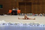 IMG 1535