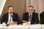 savjet za slavoniju ilok 21