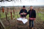 U virovitičkom prigradskom naselju Golo Brdo i ove godine obilježen blagdan svetog Vinka i početak radova u vinogradima 13 IMG 9724 Custom