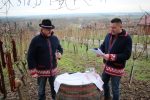 U virovitičkom prigradskom naselju Golo Brdo i ove godine obilježen blagdan svetog Vinka i početak radova u vinogradima 10 IMG 9749 Custom
