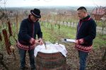 U virovitičkom prigradskom naselju Golo Brdo i ove godine obilježen blagdan svetog Vinka i početak radova u vinogradima 5 IMG 9774 Custom