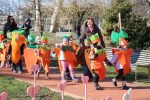 IMG 4024 1200x800 1 1