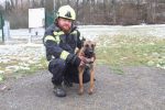 Ivan Tomac i Azra
