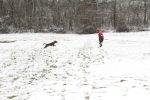 U domaćinstvu vatrogasnih društava DVD Čačinci i Orahovica održana trodnevna vježba K9 vatrogasnih potražnih timova: Vatrogasni psi i njihovi vodiči pokazali iznimno spretnost i znanje na dnevnoj i noćnoj vježbi 5 K9 vatrogasna vjezba 5