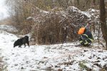 U domaćinstvu vatrogasnih društava DVD Čačinci i Orahovica održana trodnevna vježba K9 vatrogasnih potražnih timova: Vatrogasni psi i njihovi vodiči pokazali iznimno spretnost i znanje na dnevnoj i noćnoj vježbi 21 K9 vatrogasna vjezba 9