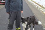 Tomislav Medved i Billy 4