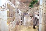 naj stand4 1