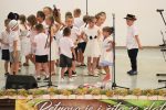 IMG 4688