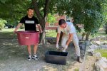 Stigli novi stanovnici u Centar za prihvat crvenouhih/žutouhih kornjača u Dravskoj priči 3 1