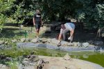 Stigli novi stanovnici u Centar za prihvat crvenouhih/žutouhih kornjača u Dravskoj priči 1 4