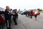 dvd vtc lavovi 1