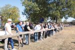 Fotogalerija: U Gornjem Predrijevu održana 16. Mijoljska potkova, manifestacija koja čuva tradiciju, običaje i ljubav prema konjima 15 IMG 3239