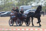 Fotogalerija: U Gornjem Predrijevu održana 16. Mijoljska potkova, manifestacija koja čuva tradiciju, običaje i ljubav prema konjima 8 IMG 8841