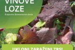 Ministarstvo poljoprivrede, šumarstva i ribarstva: Spriječimo daljnje širenje zlatne žutice i propadanje vinograda 1 Zlatna zutica vinove loze letak 1